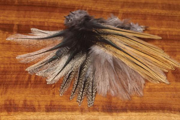 Coq de Leon Feathers